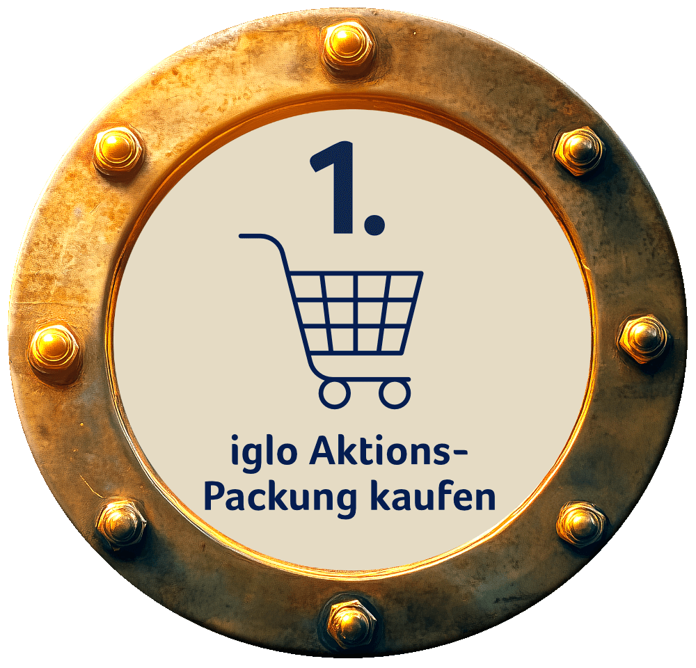 iglo Aktions-Packung kaufen